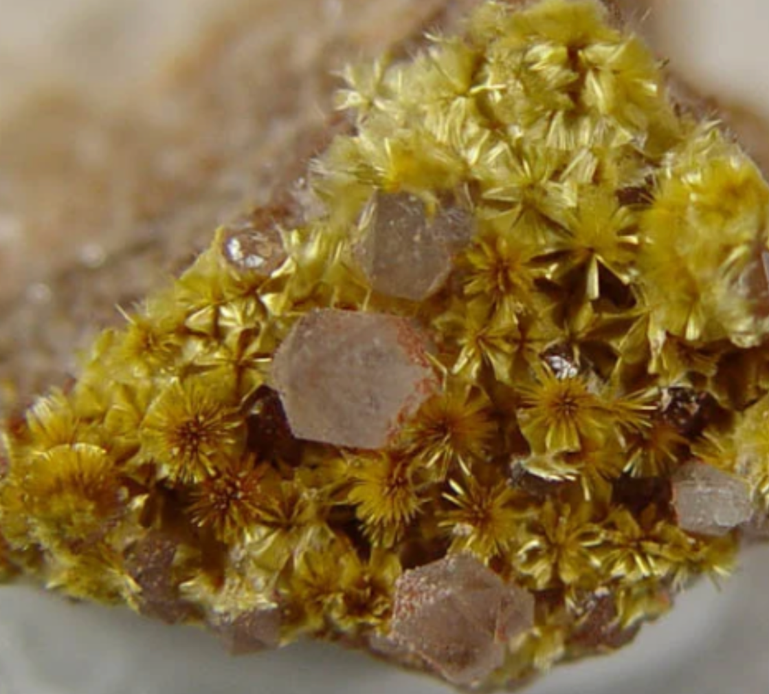 All NATURAL! Super, Ultra Rare rare 33.1 cts Brown Goethite Ball or Burrs in Quartz Crystal - Water Clear Crystal. 1176