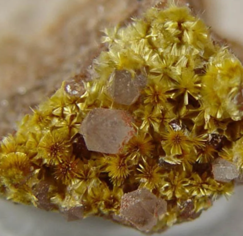 4.9 cts Glittering Golden Rutilated GOETHITE Burrs in Crystal Clear Quartz. Flat Backed Cab.