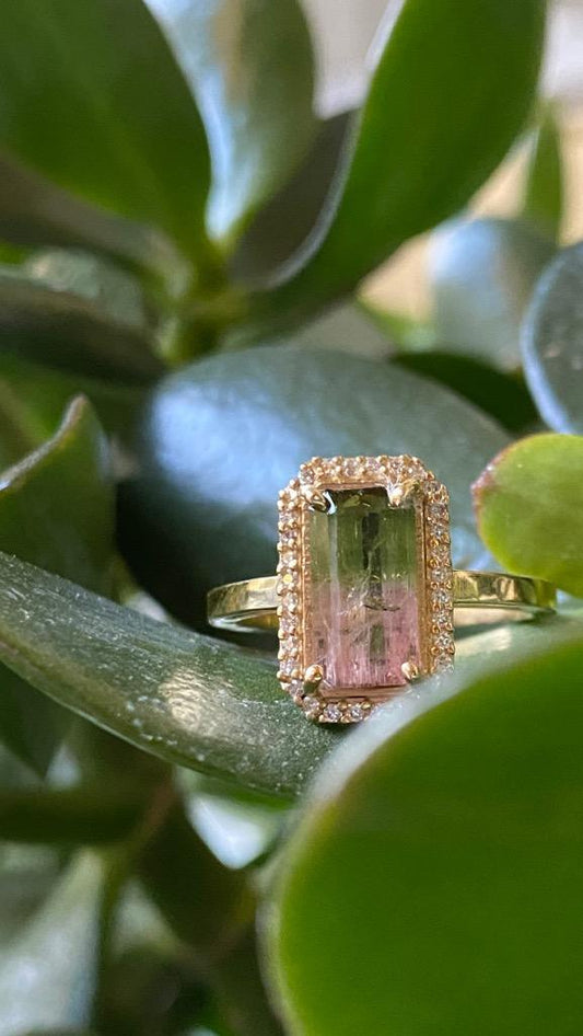 Genuine Bi Color, Watermelon Tourmaline and Diamond Engagement Ring